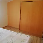 Ribaric Apartament *